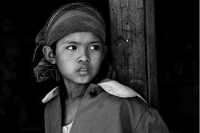 562614_276...